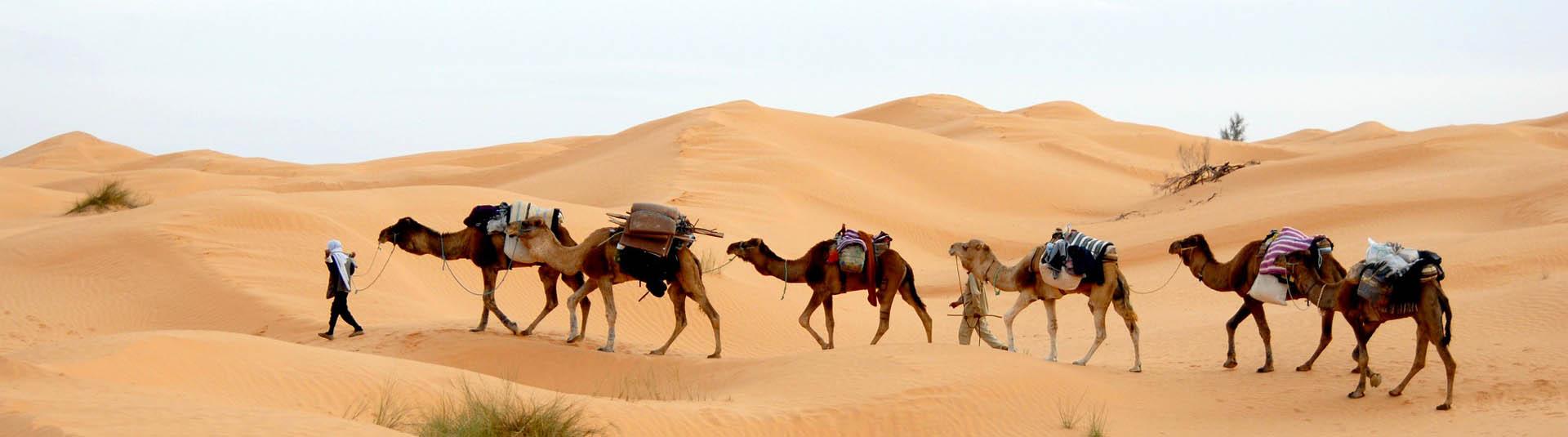 Feriendialyse Tunesien